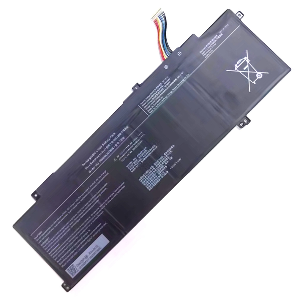 PS0236UA1BRS Battery
