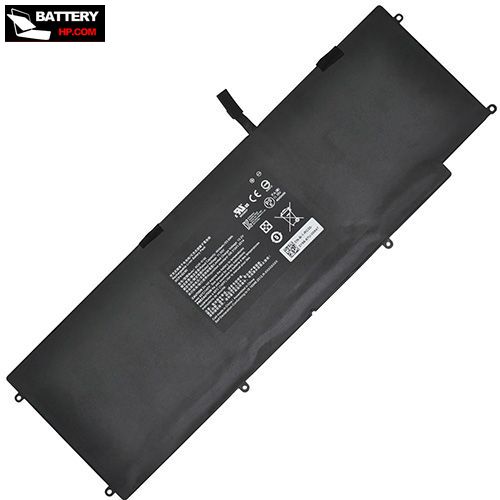 RC30-0196 Battery